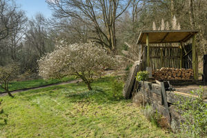 Photo 13- click for photo gallery